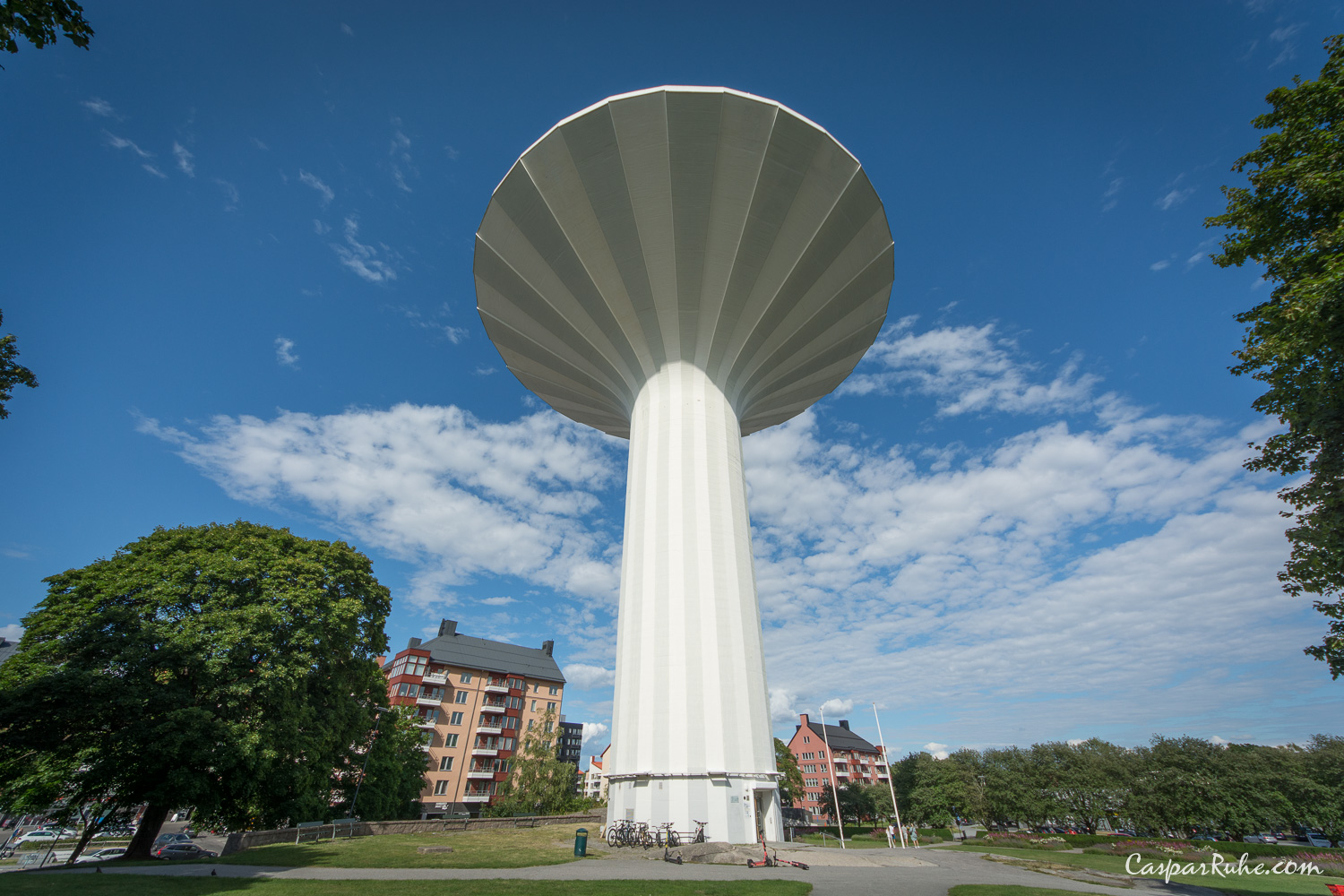 Svampen